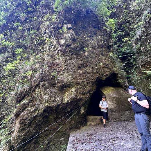 Levada da Norte bei Prazeres – Tunnel, Wasserfall und Wald