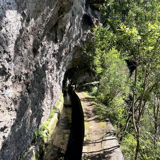 Levada da Norte bei Prazeres – Tunnel, Wasserfall und Wald