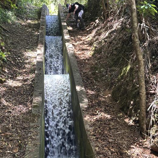 Levada da Norte bei Prazeres – Tunnel, Wasserfall und Wald