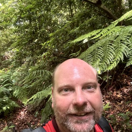 Levada da Norte bei Prazeres – Tunnel, Wasserfall und Wald