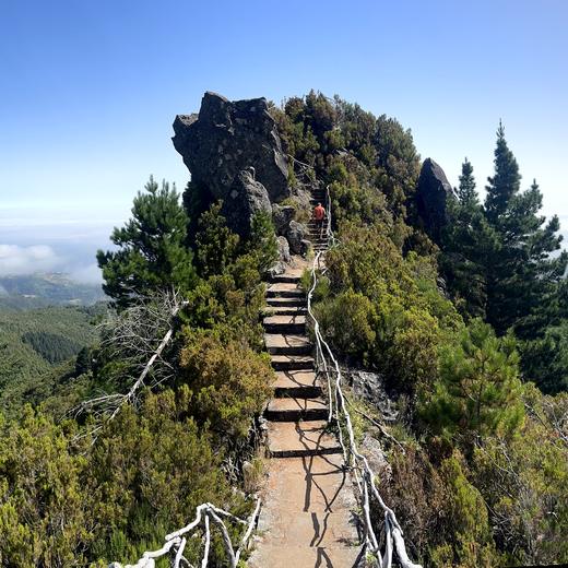 Pico Ruivo und Achada do Teixeira – PR1.2 mit Hochgebirgsblick
