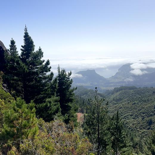Pico Ruivo und Achada do Teixeira – PR1.2 mit Hochgebirgsblick