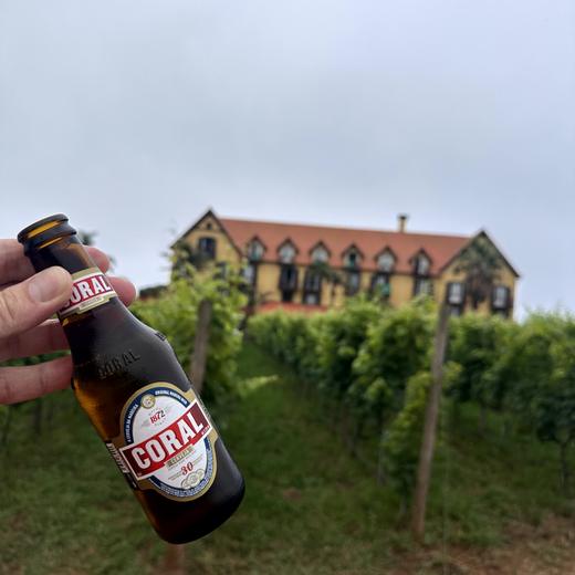 Zweiter Abend in der Quinta do Furão – Wein, Fleisch und Dessert