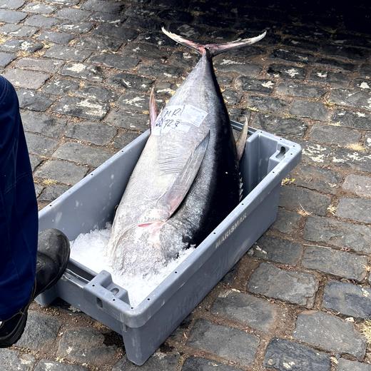 Fisch, Strand und Cristo Rei / Garajau