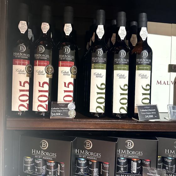 Madeira Wine Company / Blandy’s Wine Lodge – Fässer, Jahrgänge und Verkostung