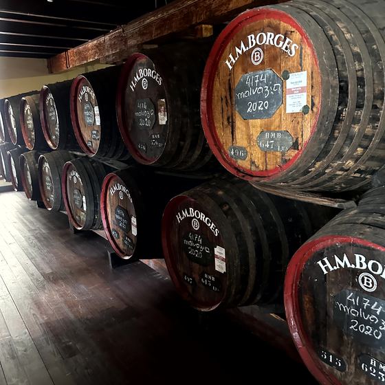Madeira Wine Company / Blandy’s Wine Lodge – Fässer, Jahrgänge und Verkostung