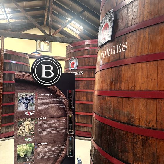 Madeira Wine Company / Blandy’s Wine Lodge – Fässer, Jahrgänge und Verkostung