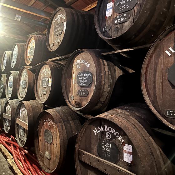 Madeira Wine Company / Blandy’s Wine Lodge – Fässer, Jahrgänge und Verkostung