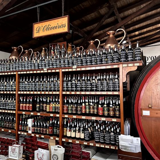 Madeira Wine Company / Blandy’s Wine Lodge – Fässer, Jahrgänge und Verkostung