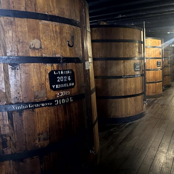 Frühstück in Funchal und weitere Weinwelt