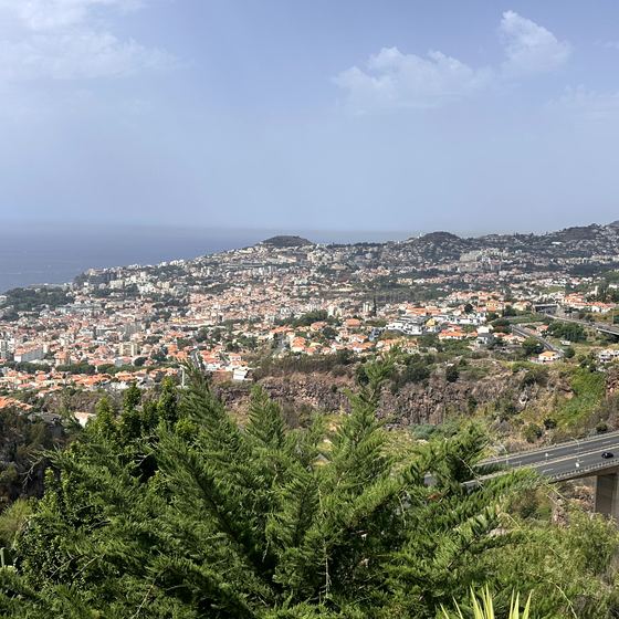 Monte Palace Tropical Garden – Gartenwelt, Kapelle und Seilbahn