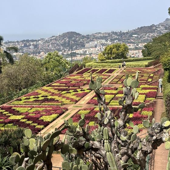 Monte Palace Tropical Garden – Gartenwelt, Kapelle und Seilbahn
