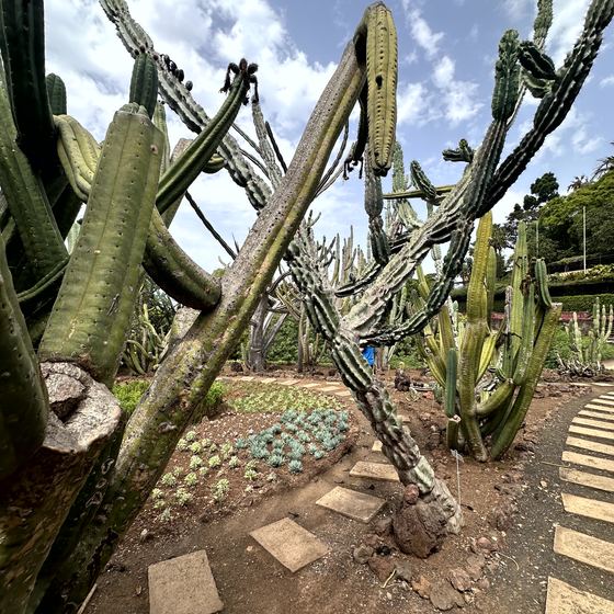 Monte Palace Tropical Garden – Gartenwelt, Kapelle und Seilbahn
