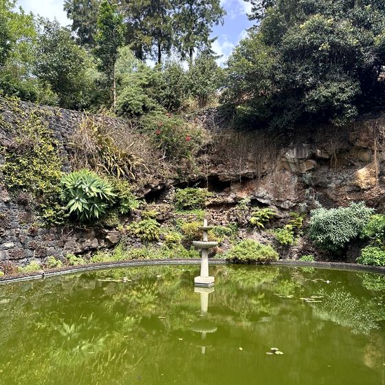 Monte Palace Tropical Garden – Gartenwelt, Kapelle und Seilbahn
