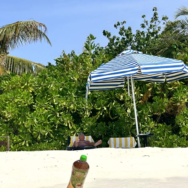Strandtag, Palmen und Riviera-Abend
