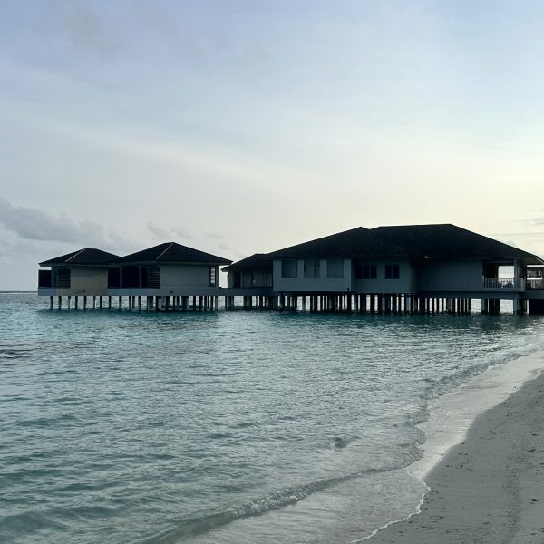 Strandtag, Palmen und Riviera-Abend