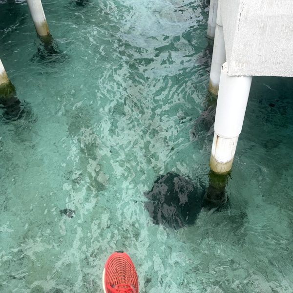 Dive Center und zweiter Tabemasu-Abend