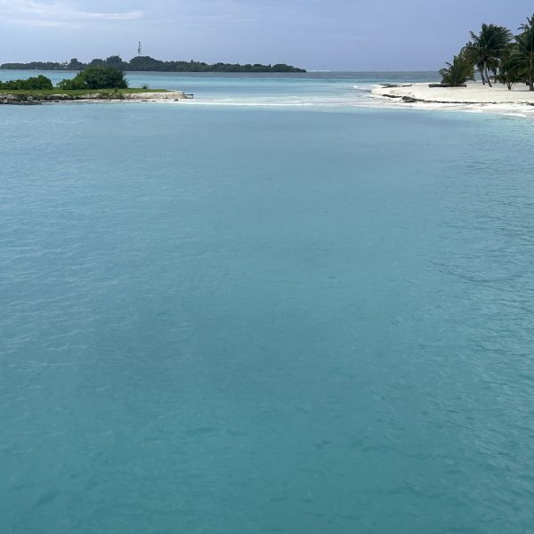 Inselmomente und Abendessen zwischen Riviera und Velaa