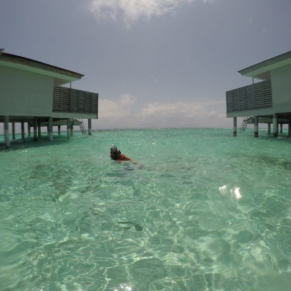 Inselmomente und Abendessen zwischen Riviera und Velaa
