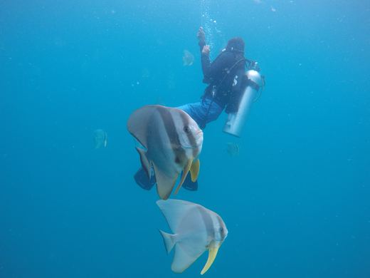 Dive Center und zweiter Tabemasu-Abend