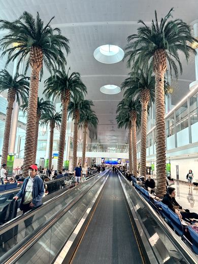 Anreise über Dubai und Ankunft im Paradies