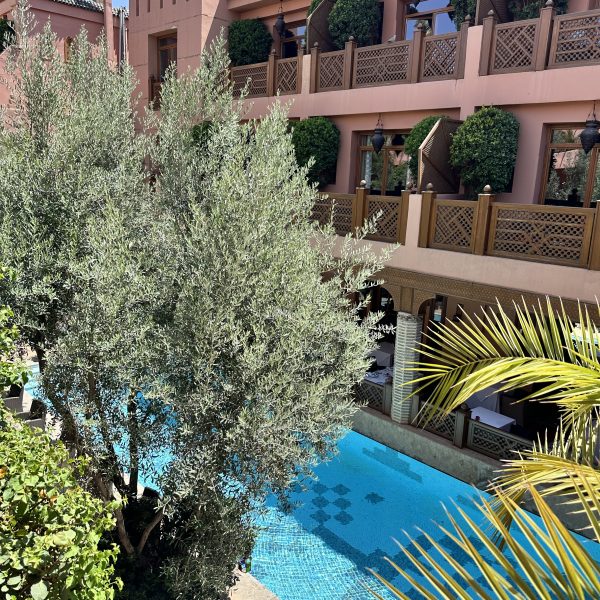 Ankommen im Hôtel La Maison Arabe