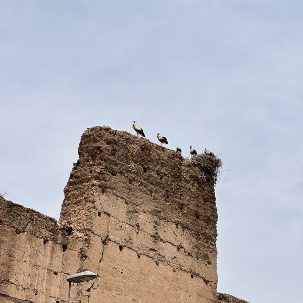 Souks, Gewürze und Mittagspause