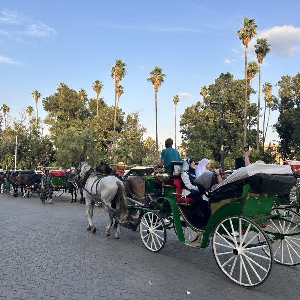 Zurück im Riad und letzter Abend