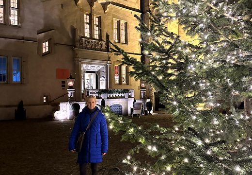 Abendstimmung am Schloss