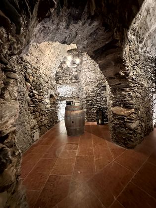 Schloss Mittersill, Jagdzimmer und Abend im Schloss