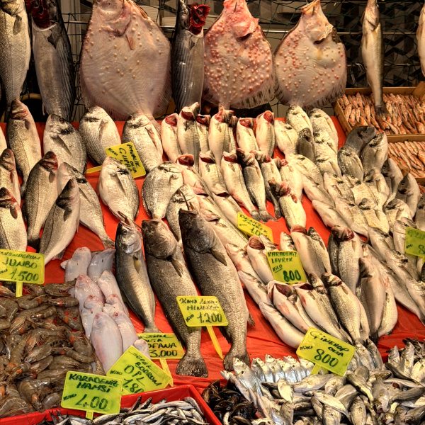 Istanbul-Stopover: Ankommen und erste Eindrücke