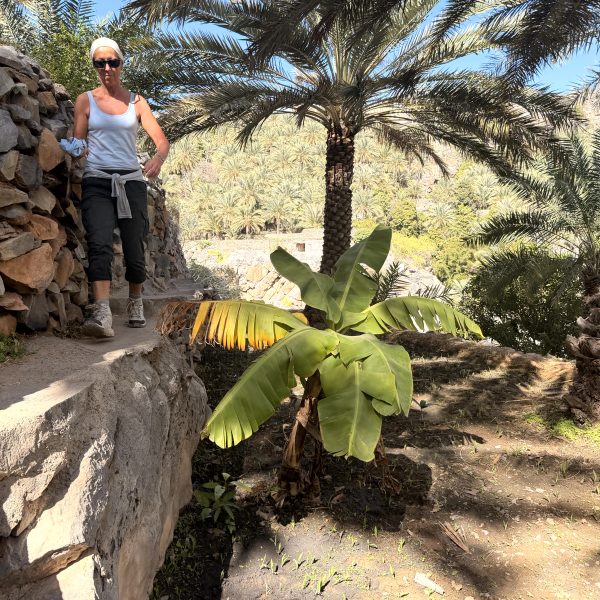 Canyons & Schluchten Richtung Jabal Shams