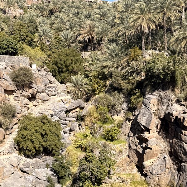 Canyons & Schluchten Richtung Jabal Shams