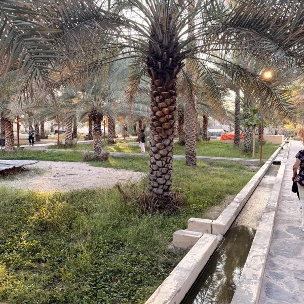 Nizwa: Fort, Souq und Abendessen