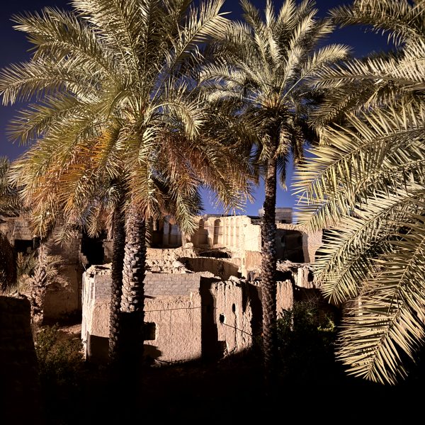 Nizwa: Fort, Souq und Abendessen