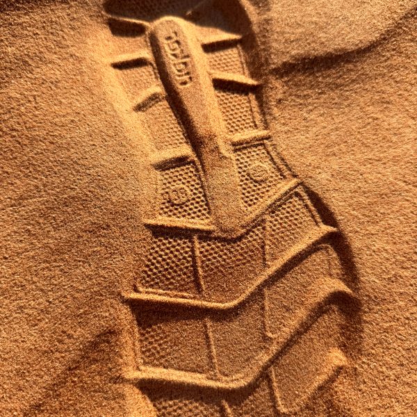 Wahiba Sands: Dünen, Kamele und Sonnenuntergang