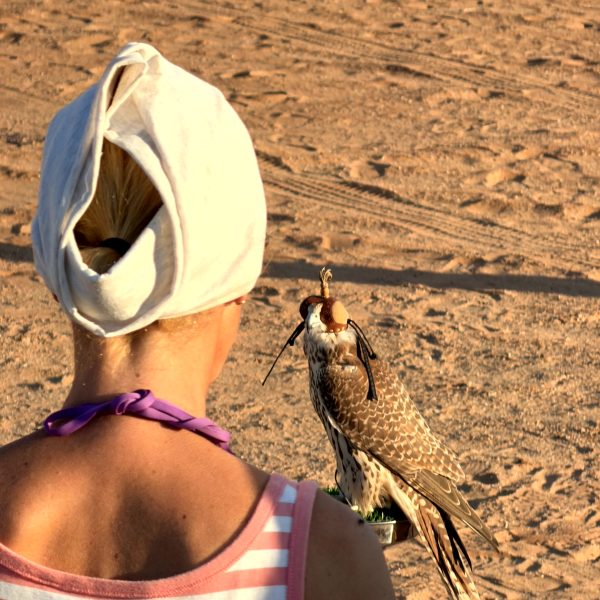 Wahiba Sands: Dünen, Kamele und Sonnenuntergang