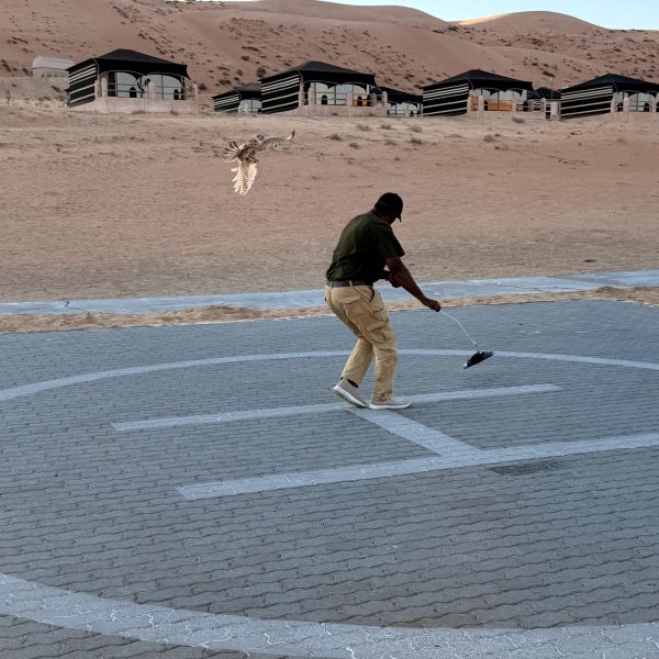 Wahiba Sands: Dünen, Kamele und Sonnenuntergang