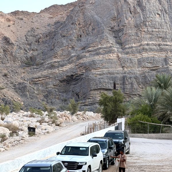 Morgen am Wadi und Rückfahrt nach Muscat