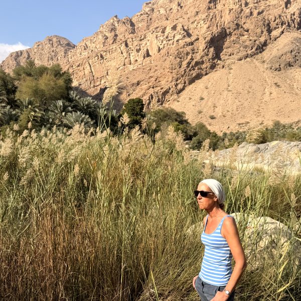 Morgen am Wadi und Rückfahrt nach Muscat