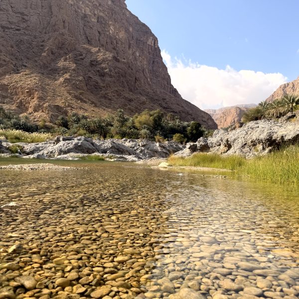Morgen am Wadi und Rückfahrt nach Muscat