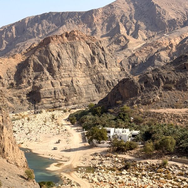 Morgen am Wadi und Rückfahrt nach Muscat