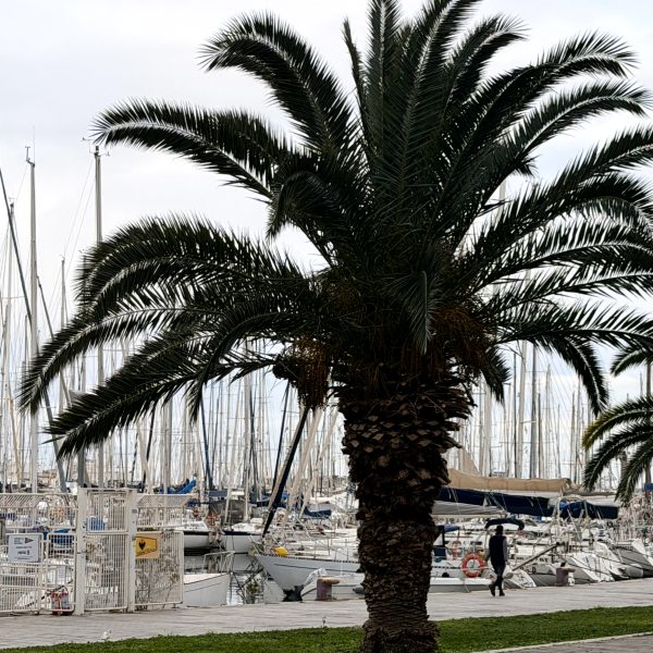 Zurück in Palermo: Aussicht, Rooftop und Aperitif
