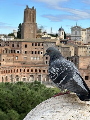 Vittoriano, Kapitol und Forum Romanum