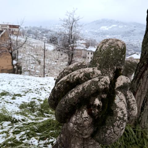 Ankunft in Sarajevo – Flug, Uber und Hotel Aziza