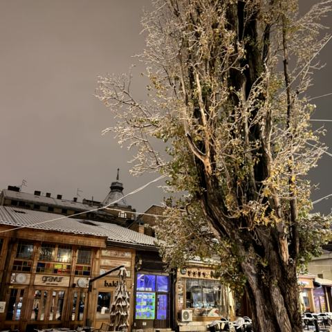 Kathedrale, alte Kneipen und Pubrunde bis spät in die Nacht