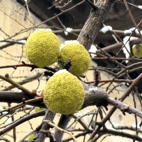 Baščaršija, Gassen und heißer Sač aus der Glut