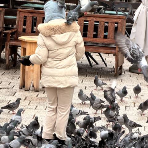 Baščaršija am Morgen – Tauben, Souvenirs und Kaffee
