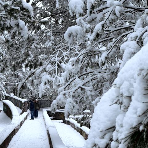 Trebević – Seilbahn, Schnee und Olympische Bobbahn