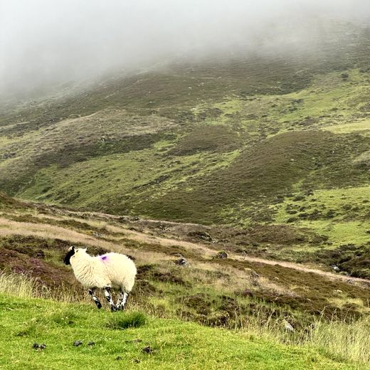 Fahrt Richtung Deeside und Besuch des Balmoral Estate